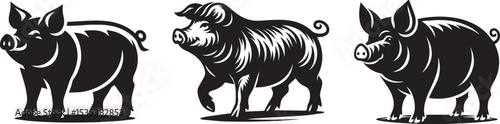 vector illustration of a pigs black and white silhouette 