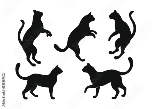 Black cat silhouettes in various poses depicting activity and domestic feline charm