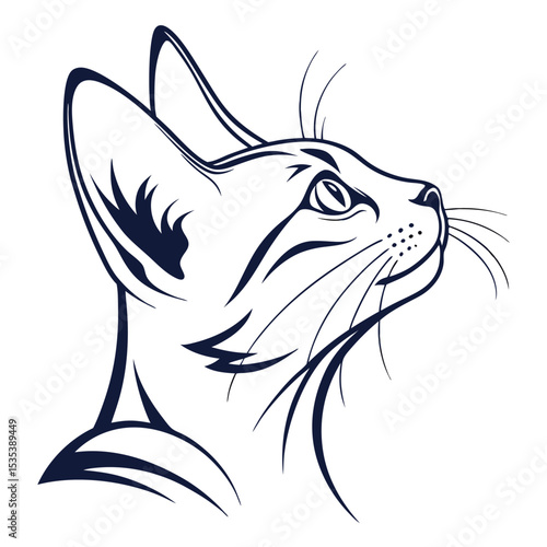 Elegant black and white illustration of a curious cat looking upwards