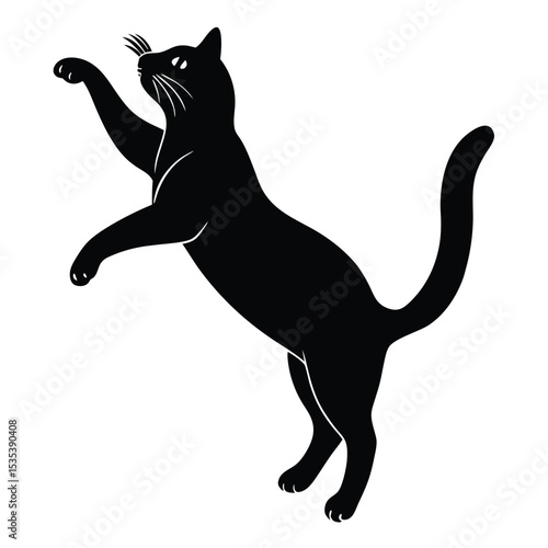 Elegant black cat standing upright reaching out in playful silhouette on white background