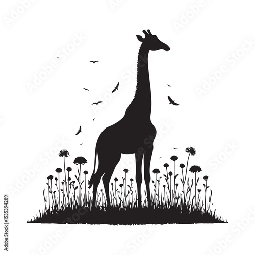 giraffe in the grass