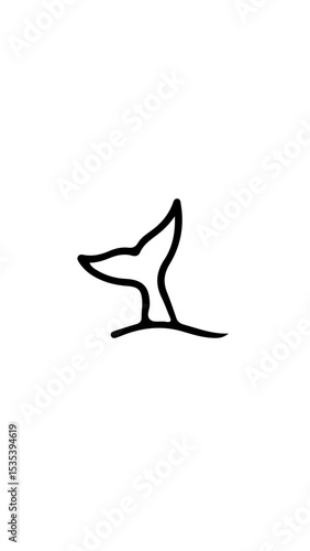 ballena 