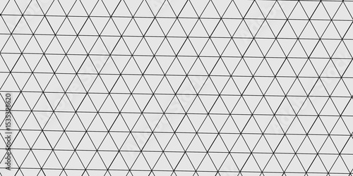 Abstract line background. abstract black lines with white background creative and geometric shape with white luxury pattern and paper texture and geometric shape with white luxury style.	