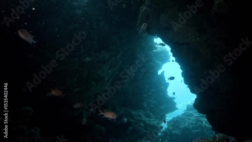 Wallpaper Mural Inside an underwater cave, soft blue light glows at the far end, revealing the exit and creating a striking contrast with the surrounding darkness. Check my portfolio for more underwater cave footage. Torontodigital.ca