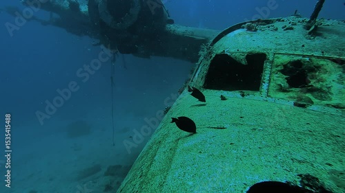 Several views of a sunken seaplane wreck lying on the seabed at the border between Egypt and Sudan in the Red Sea. Check my portfolio for more seaplane wreck footage.