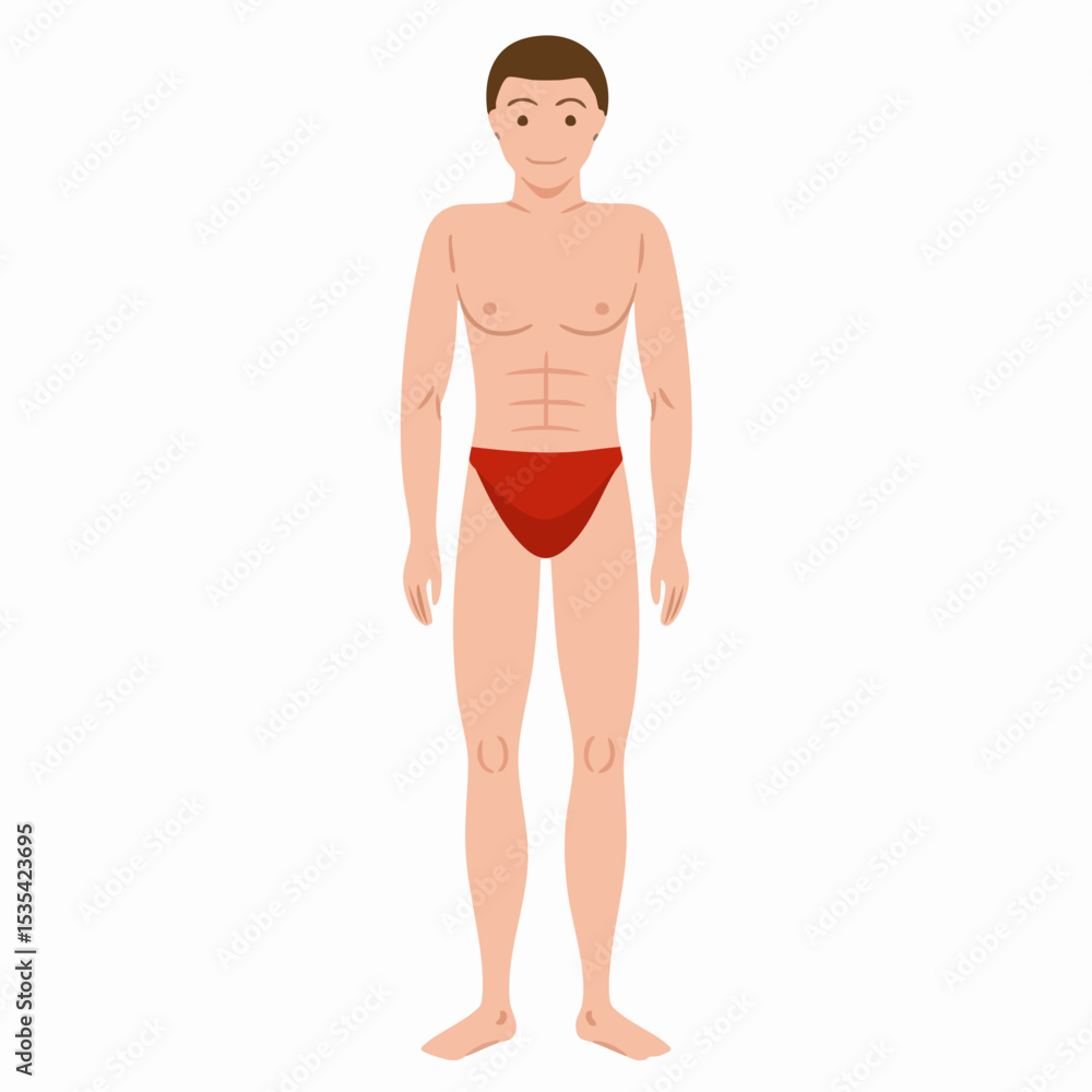 Fototapeta premium Vector illustration of a male figureVector