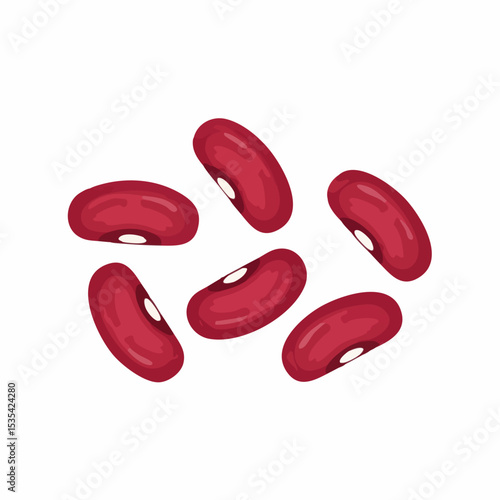 Kidney Beans ScatteredVector