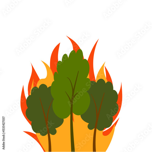 Natural Disaster Forest Fire