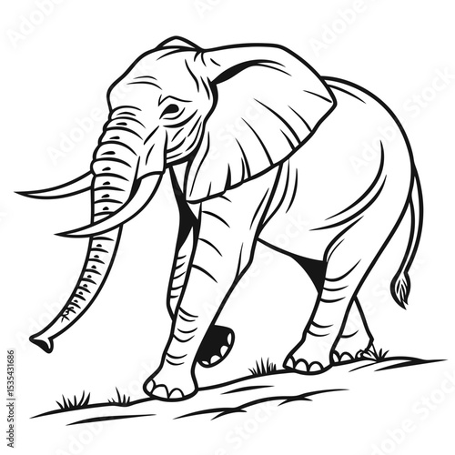 Elegant black and white vector illustration of an african elephant walking on grass
