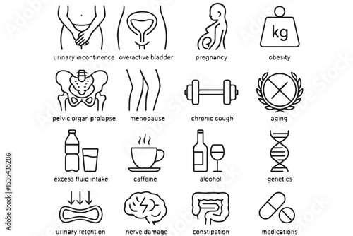 Urinary Incontinence, Overactive Bladder, Pregnancy, Obesity, Urinary Retention, Chronic Cough, Pelvic Organ Prolapse and More Icon Set