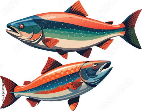 a salmon fish. A salmon fish mid-swim, detailed scales and fins, on white background
