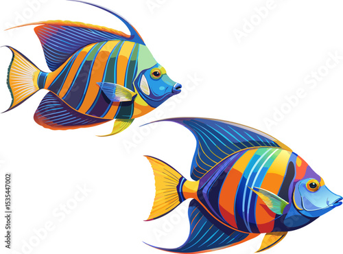 tropical fish vector. tropical angelfish with multicolor patterns, shown solo on white background
