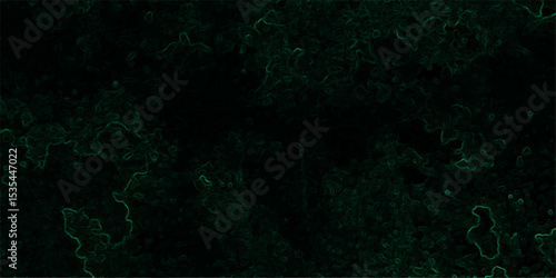 Abstract dark, organic texture featuring faint, glowing green lines tracing vein-like or neural pathways over a deep black background.  Microscopic biological network, smoke tendrils, energy flowing 