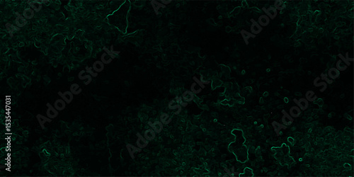 Abstract dark, organic texture featuring faint, glowing green lines tracing vein-like or neural pathways over a deep black background.  Microscopic biological network, smoke tendrils, energy flowing 