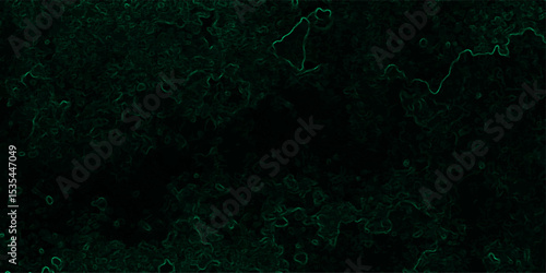 Abstract dark, organic texture featuring faint, glowing green lines tracing vein-like or neural pathways over a deep black background.  Microscopic biological network, smoke tendrils, energy flowing 