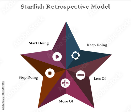 Photography Starfish retrospective model