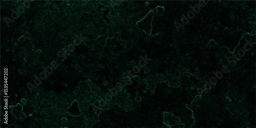 Abstract dark, organic texture featuring faint, glowing green lines tracing vein-like or neural pathways over a deep black background.  Microscopic biological network, smoke tendrils, energy flowing 