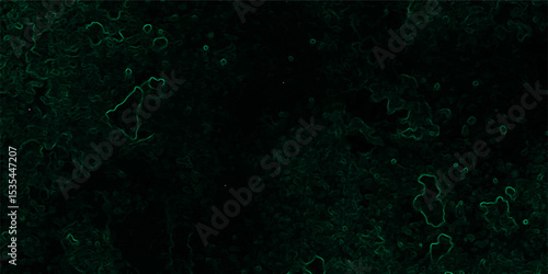 Abstract dark, organic texture featuring faint, glowing green lines tracing vein-like or neural pathways over a deep black background.  Microscopic biological network, smoke tendrils, energy flowing 