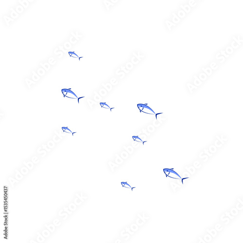 School Fish