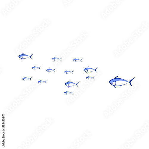 School Fish