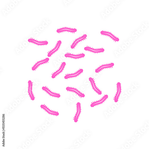 Tuberculosis Bacteria 
