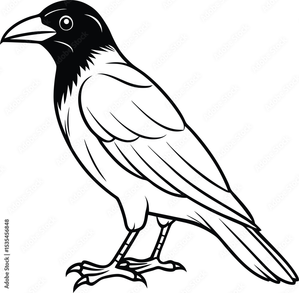 Fototapeta premium Crow black silhouette on white background