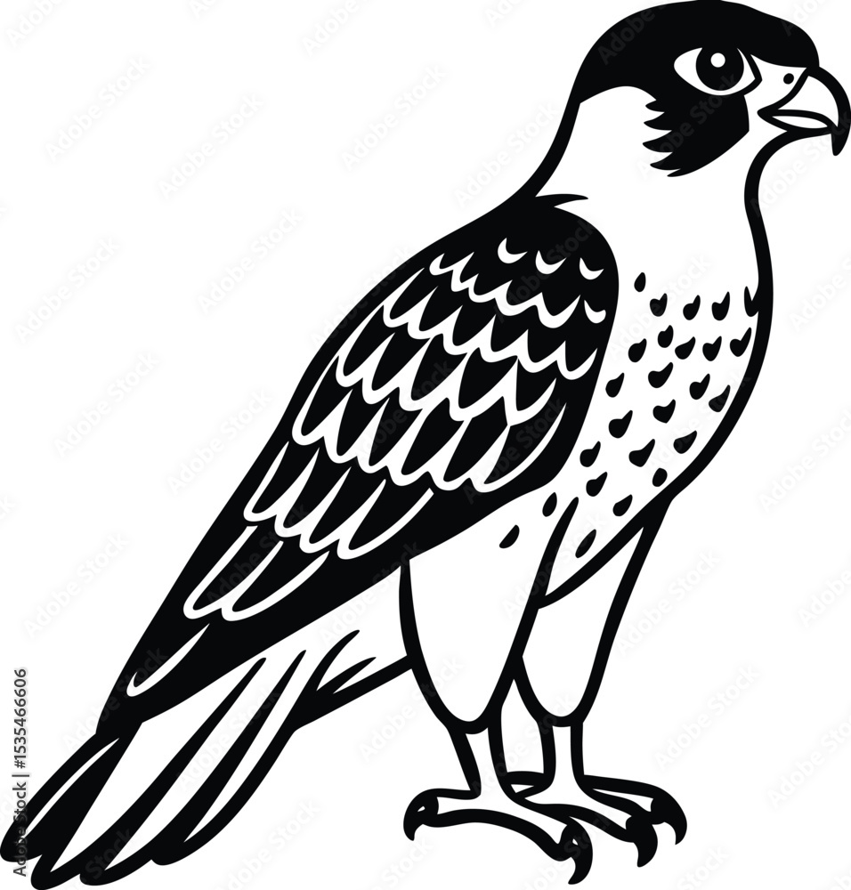 Fototapeta premium Falcon black silhouette on white background