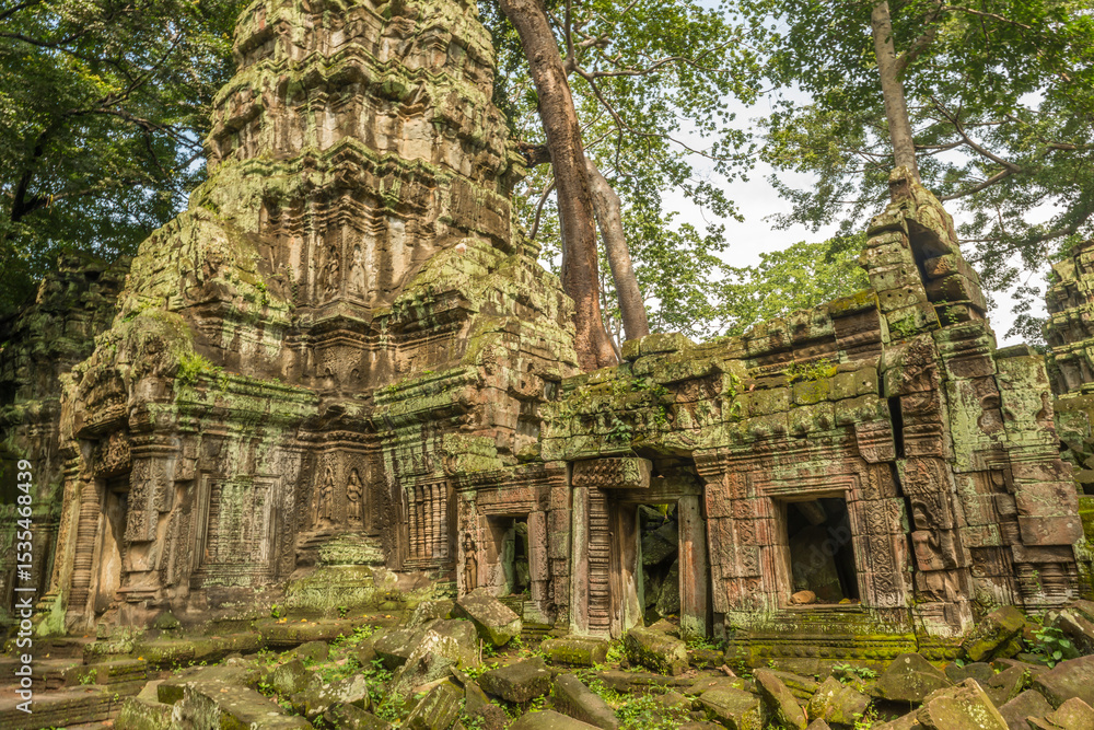 Naklejka premium Ta Phrom temple in the jungle of Cambodia, Siam Reap