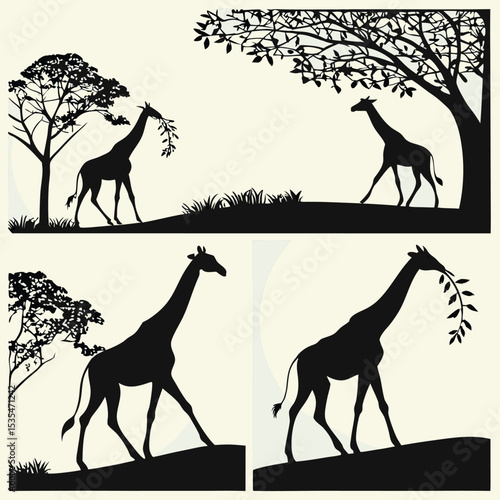 Silhouette artwork featuring giraffes gracefully wandering through african savanna landscapes near trees and grass.