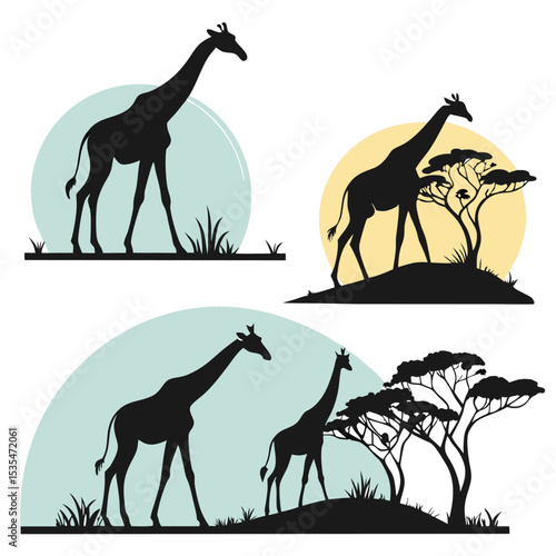 Silhouette illustrations of giraffes with african savanna trees and grass elements on white background