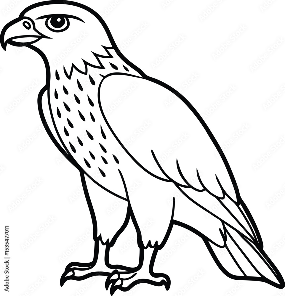 Fototapeta premium Hawk black silhouette on white background 