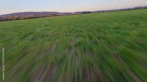 fpv drone flying low and fast over field at sunset in Vosges region on a sunny spring evening