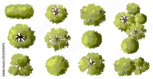Vector set of Top view green tree for outdoor plan or map and architecture drawing, elements for environment and garden ,botanical elements ,Blooming flowers in spring,tropical plants element