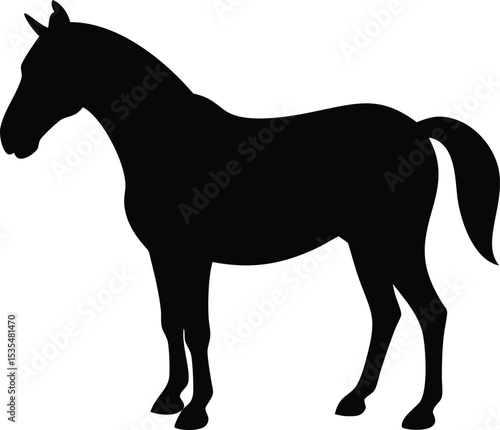 Elegant silhouette of a horse in profile depicting beauty and powerful presence for design elements