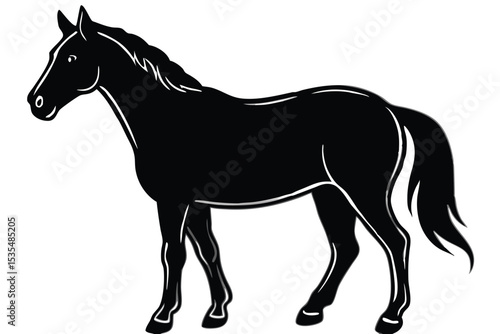 Striking black horse silhouette isolated on white background depicting grace and strength