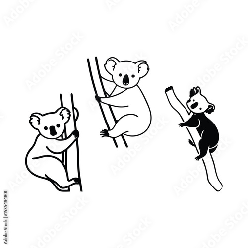 Simple and cute vector illustration of three koala bears climbing on branches