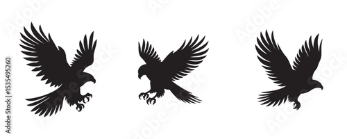 Three silhouettes of birds of prey, likely eagles or hawks, captured in dynamic flight and landing positions with wings outstretched and talons ready, on a white background