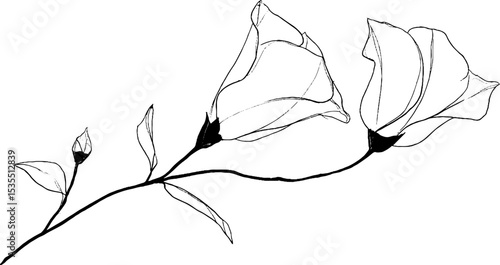 Minimalist line art of bell flower for design purposes