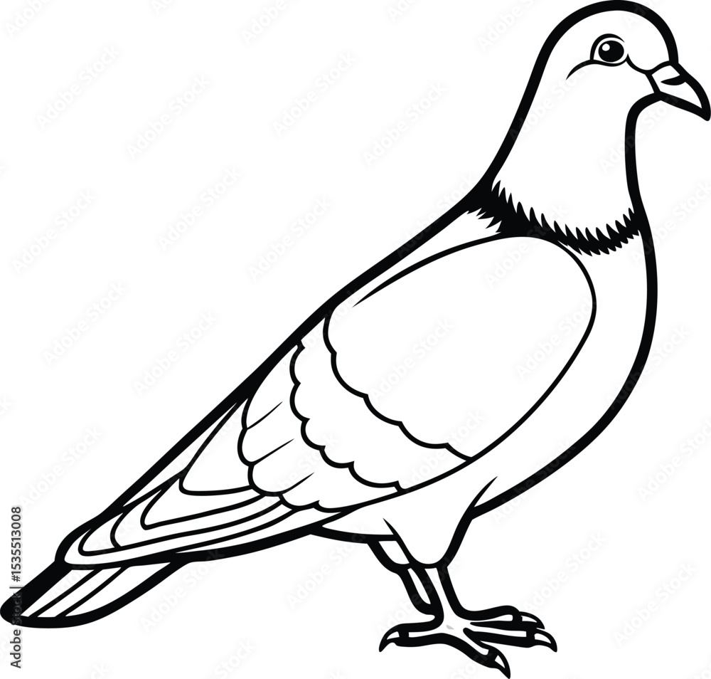 Obraz premium vector illustration of dove