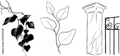 Elegant cast iron gate and decorative elements line art set for design and decoration