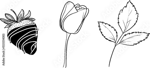 Elegant line art set featuring chocolate covered strawberry, tulip, and leaves