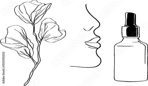 Elegant line art set featuring gua sha stone, floral element, face outline, and cosmetic bottle