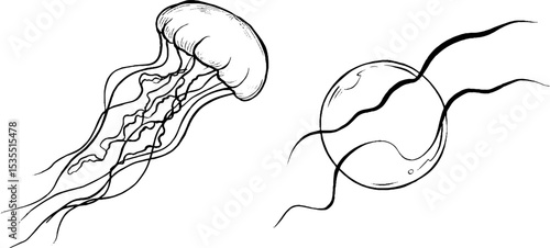 Elegant line art of jellyfish silhouettes for creative print and design projects