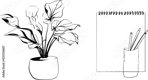 Minimalist line art illustration of potted plant and stationery for modern decor