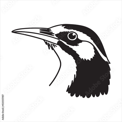 Blue-faced Honeyeater – Colorful Nectar-loving Bird of the Australian Tropics