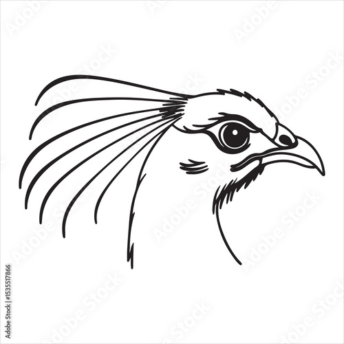 Reeves’s Pheasant – Vibrant Chinese Forest Pheasant with Elaborate Plumage