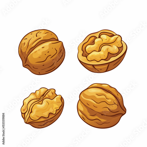 Delicious hand drawn vector illustration of whole walnuts and walnut halves on white background