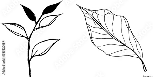 Minimalist line art set featuring tiny sapling and leaf for nature lovers
