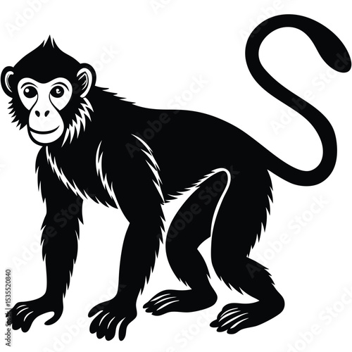 Silhouetted monkey illustration featuring detailed fur and curving tail with a smiling expression