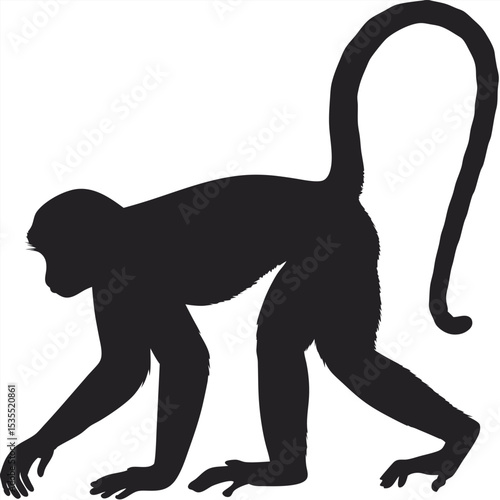 Silhouetted image of a monkey walking with a curved tail in a simple minimalistic style